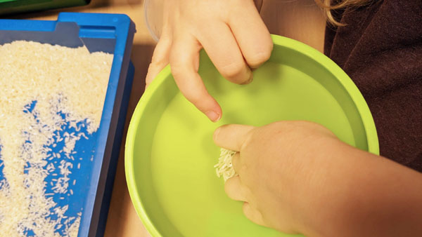 Experimente mit Reis und Linsen